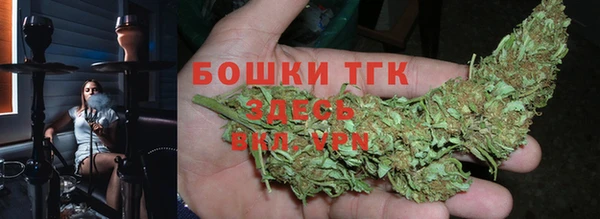 стафф Богданович