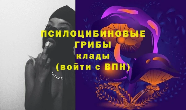 стафф Богданович