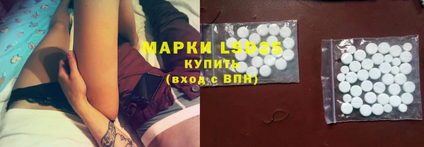 гашик Богородицк