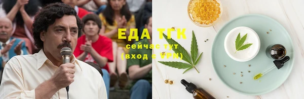 гашик Богородицк