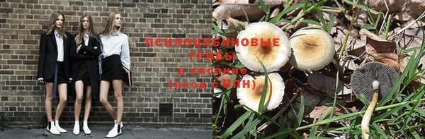 стафф Богданович