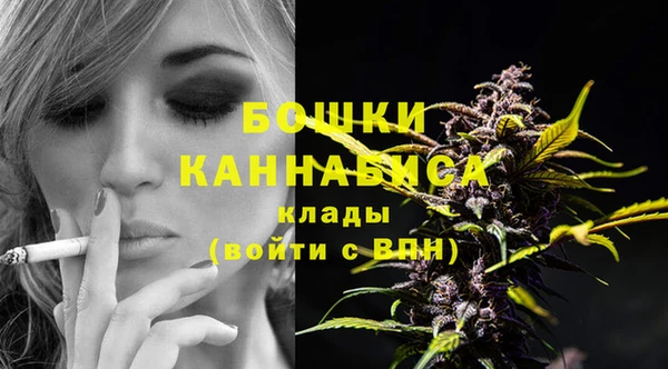 гашик Богородицк