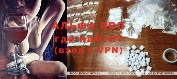 стафф Богданович