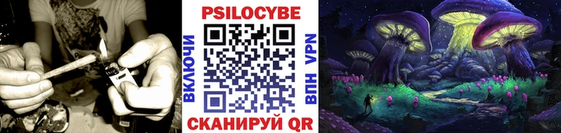 Галлюциногенные грибы GOLDEN TEACHER купить Мостовской